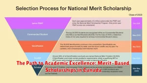 The Path to Academic Excellence: Merit-Based Scholarships in Canada